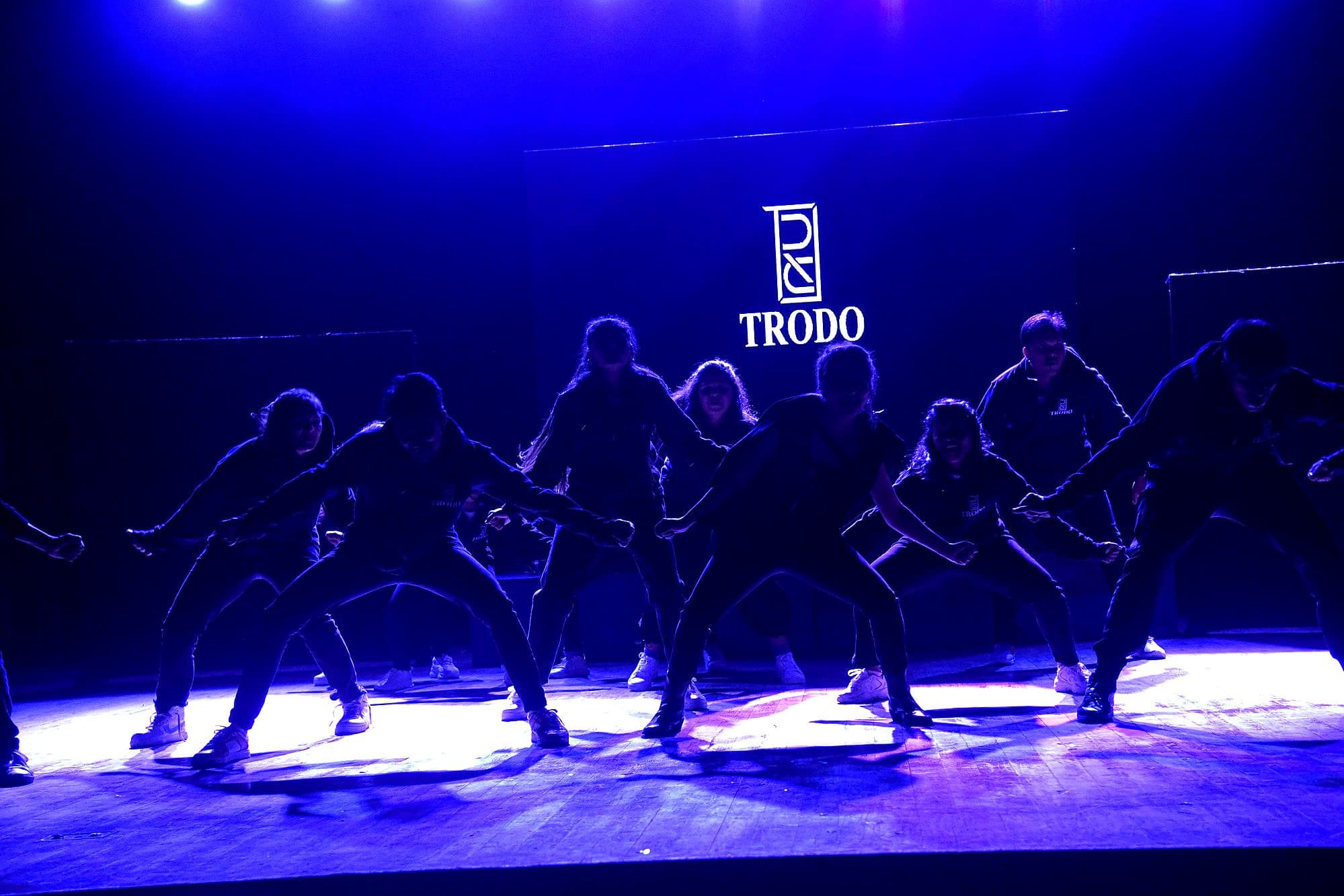 Trodo Introduction